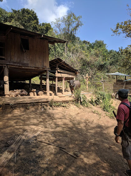 Local home on the trace